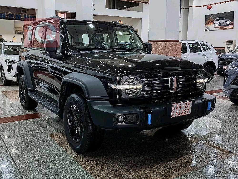 جريت وول 300
